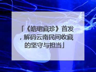 《皓珺藏珍》首发，解码云南民间收藏的坚守与担当