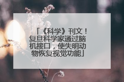 《科学》刊文！复旦科学家通过脑机接口，使失明动物恢复视觉功能