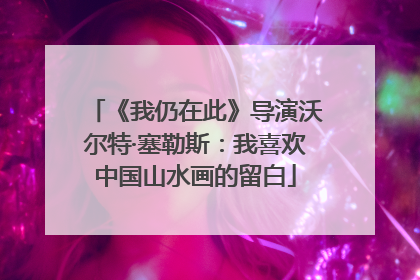 《我仍在此》导演沃尔特·塞勒斯：我喜欢中国山水画的留白