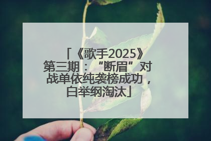 《歌手2025》第三期：“断眉”对战单依纯袭榜成功，白举纲淘汰