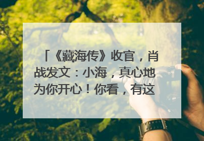《藏海传》收官，肖战发文：小海，真心地为你开心！你看，有这么多人懂你！