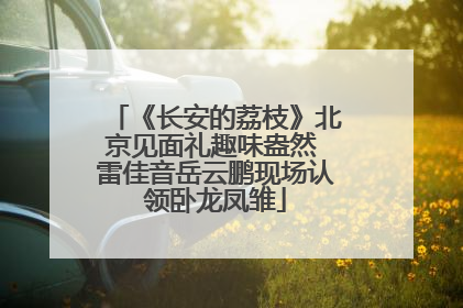 《长安的荔枝》北京见面礼趣味盎然 雷佳音岳云鹏现场认领卧龙凤雏