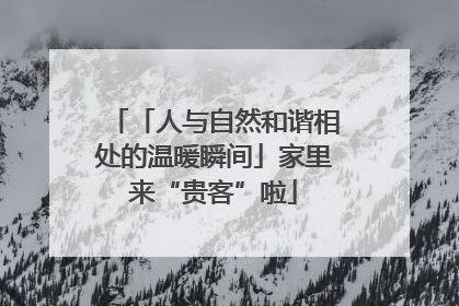 「人与自然和谐相处的温暖瞬间」家里来“贵客”啦