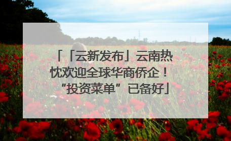 「云新发布」云南热忱欢迎全球华商侨企！“投资菜单”已备好