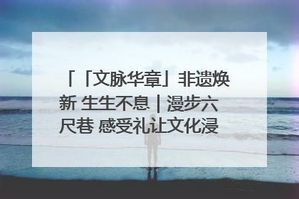 「文脉华章」非遗焕新 生生不息｜漫步六尺巷 感受礼让文化浸润的“巷”往生活