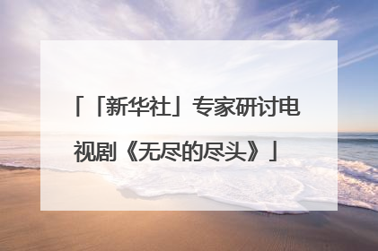 「新华社」专家研讨电视剧《无尽的尽头》