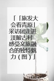「旅发大会看青原」采访团走进渼陂古村 感受文旅融合的独特魅力（图）