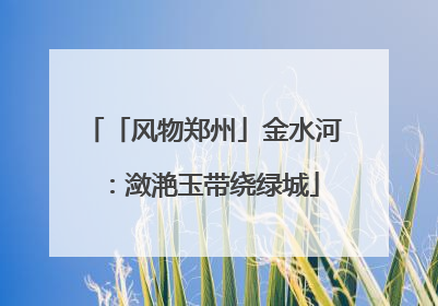 「风物郑州」金水河：潋滟玉带绕绿城
