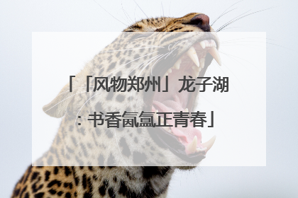 「风物郑州」龙子湖：书香氤氲正青春