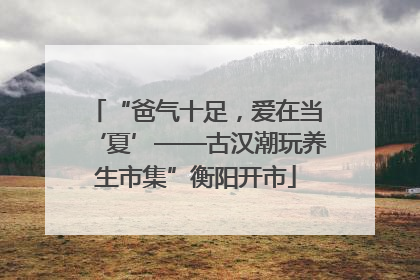 “爸气十足，爱在当‘夏’——古汉潮玩养生市集”衡阳开市