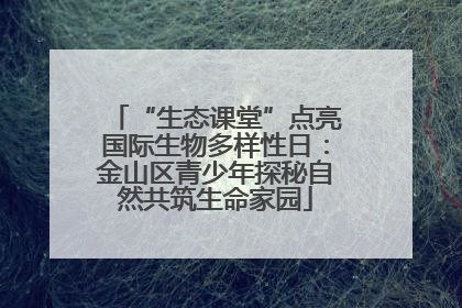 “生态课堂”点亮国际生物多样性日：金山区青少年探秘自然共筑生命家园