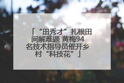 “田秀才”扎根田间解难题 黄梅94名技术指导员催开乡村“科技花”