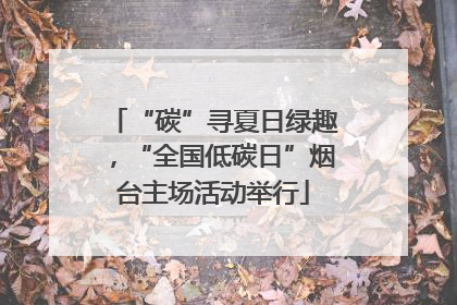 “碳”寻夏日绿趣，“全国低碳日”烟台主场活动举行