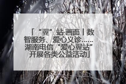 “翼”站·画面丨数智服务、爱心义诊……湖南电信“爱心翼站” 开展各类公益活动
