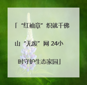 “红袖章”织就千佛山“无废”网 24小时守护生态家园