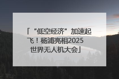 “低空经济”加速起飞！杨浦亮相2025世界无人机大会