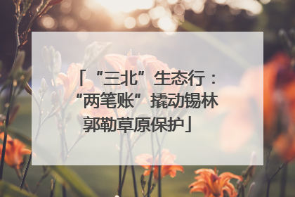 “三北”生态行：“两笔账”撬动锡林郭勒草原保护