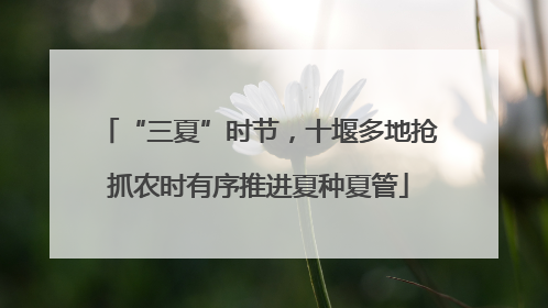 “三夏”时节，十堰多地抢抓农时有序推进夏种夏管