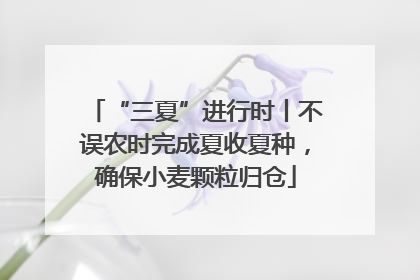 “三夏”进行时丨不误农时完成夏收夏种，确保小麦颗粒归仓