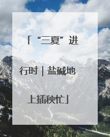 “三夏”进行时｜盐碱地上插秧忙
