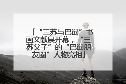 “三苏与巴蜀”书画文献展开幕，“三苏父子”的“巴蜀朋友圈”人物亮相