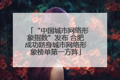 “中国城市网络形象指数”发布 合肥成功跻身城市网络形象榜单第一方阵
