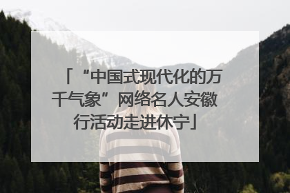 “中国式现代化的万千气象”网络名人安徽行活动走进休宁
