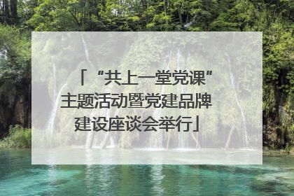 “共上一堂党课”主题活动暨党建品牌建设座谈会举行
