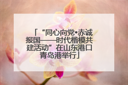 “同心向党•赤诚报国——时代楷模共建活动”在山东港口青岛港举行