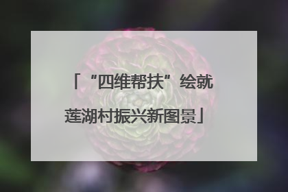 “四维帮扶”绘就莲湖村振兴新图景