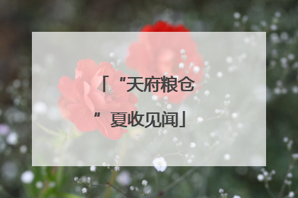 “天府粮仓”夏收见闻