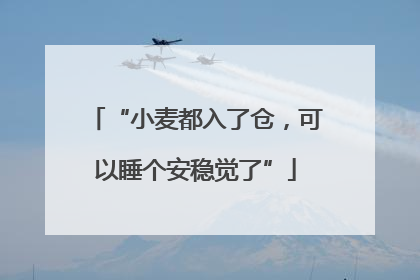 “小麦都入了仓，可以睡个安稳觉了”
