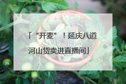 “开麦”！延庆八道河山货卖进直播间