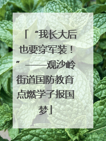 “我长大后也要穿军装！”——观沙岭街道国防教育点燃学子报国梦