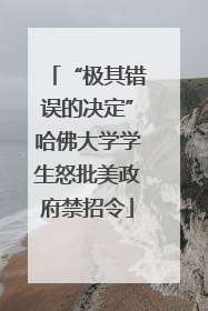 “极其错误的决定”哈佛大学学生怒批美政府禁招令