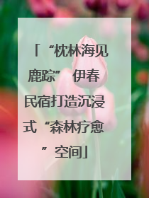 “枕林海见鹿踪” 伊春民宿打造沉浸式“森林疗愈”空间