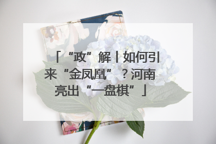 “政”解丨如何引来“金凤凰”？河南亮出“一盘棋”