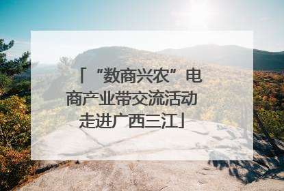 “数商兴农”电商产业带交流活动走进广西三江