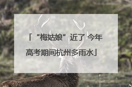 “梅姑娘”近了 今年高考期间杭州多雨水
