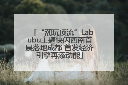 “潮玩顶流”Labubu主题快闪西南首展落地成都 首发经济引擎再添动能