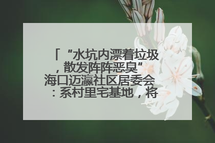 “水坑内漂着垃圾，散发阵阵恶臭” 海口迈瀛社区居委会：系村里宅基地，将派人打捞垃圾