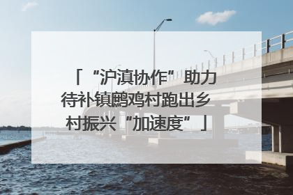 “沪滇协作”助力待补镇鹧鸡村跑出乡村振兴“加速度”