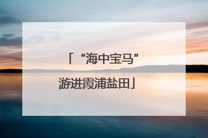 “海中宝马”游进霞浦盐田