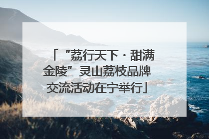 “荔行天下・甜满金陵”灵山荔枝品牌交流活动在宁举行