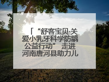 “舒客宝贝·关爱小乳牙科学防龋公益行动” 走进河南唐河县助力儿童口腔健康
