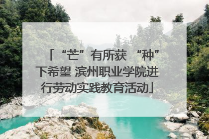 “芒”有所获 “种”下希望 滨州职业学院进行劳动实践教育活动