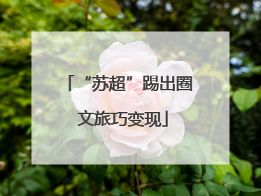 “苏超”踢出圈 文旅巧变现