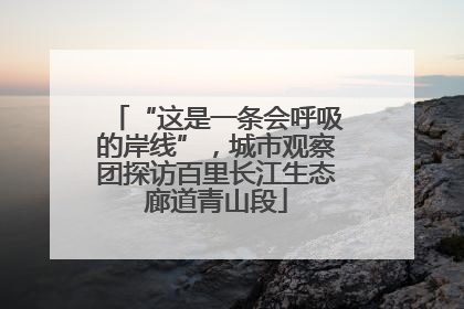 “这是一条会呼吸的岸线”，城市观察团探访百里长江生态廊道青山段