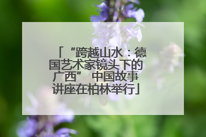 “跨越山水：德国艺术家镜头下的广西” 中国故事讲座在柏林举行