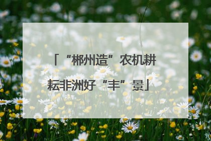 “郴州造”农机耕耘非洲好“丰”景